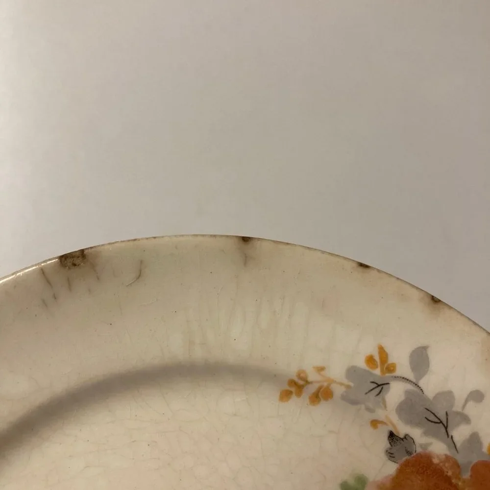 Vintage Salad Plates (2) 6 Inches with Pink & Blue Flowers / Roses